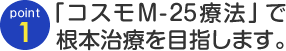 point01 「コスモM-25療法」で根本治療を目指します。