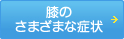 膝のさまざまな症状